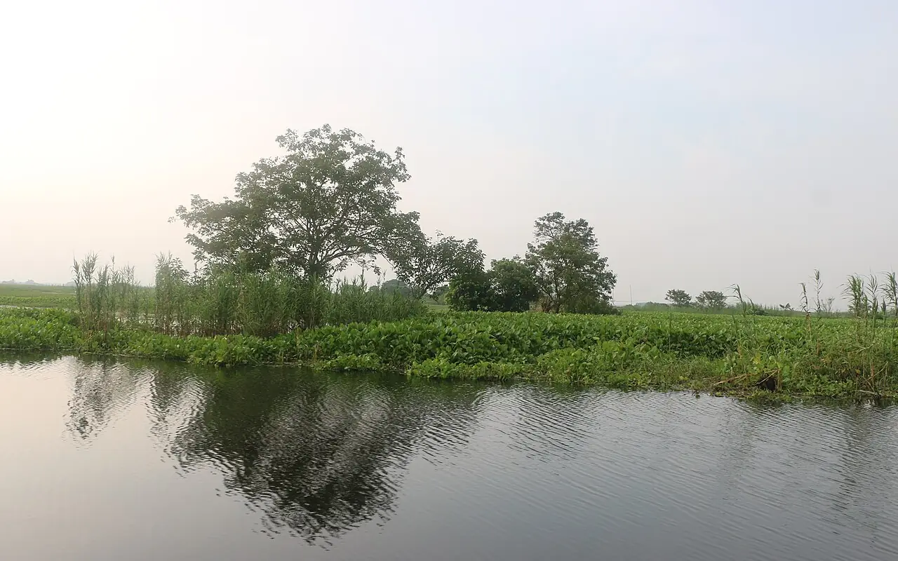 আড়িয়াল বিল, মুন্সীগঞ্জ