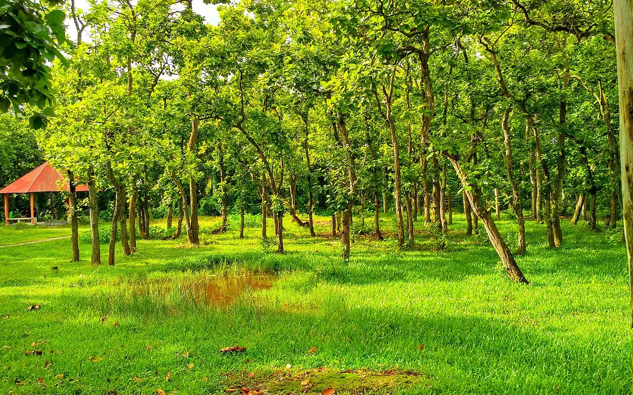 ভাওয়াল জাতীয় উদ্যান, গাজীপুর