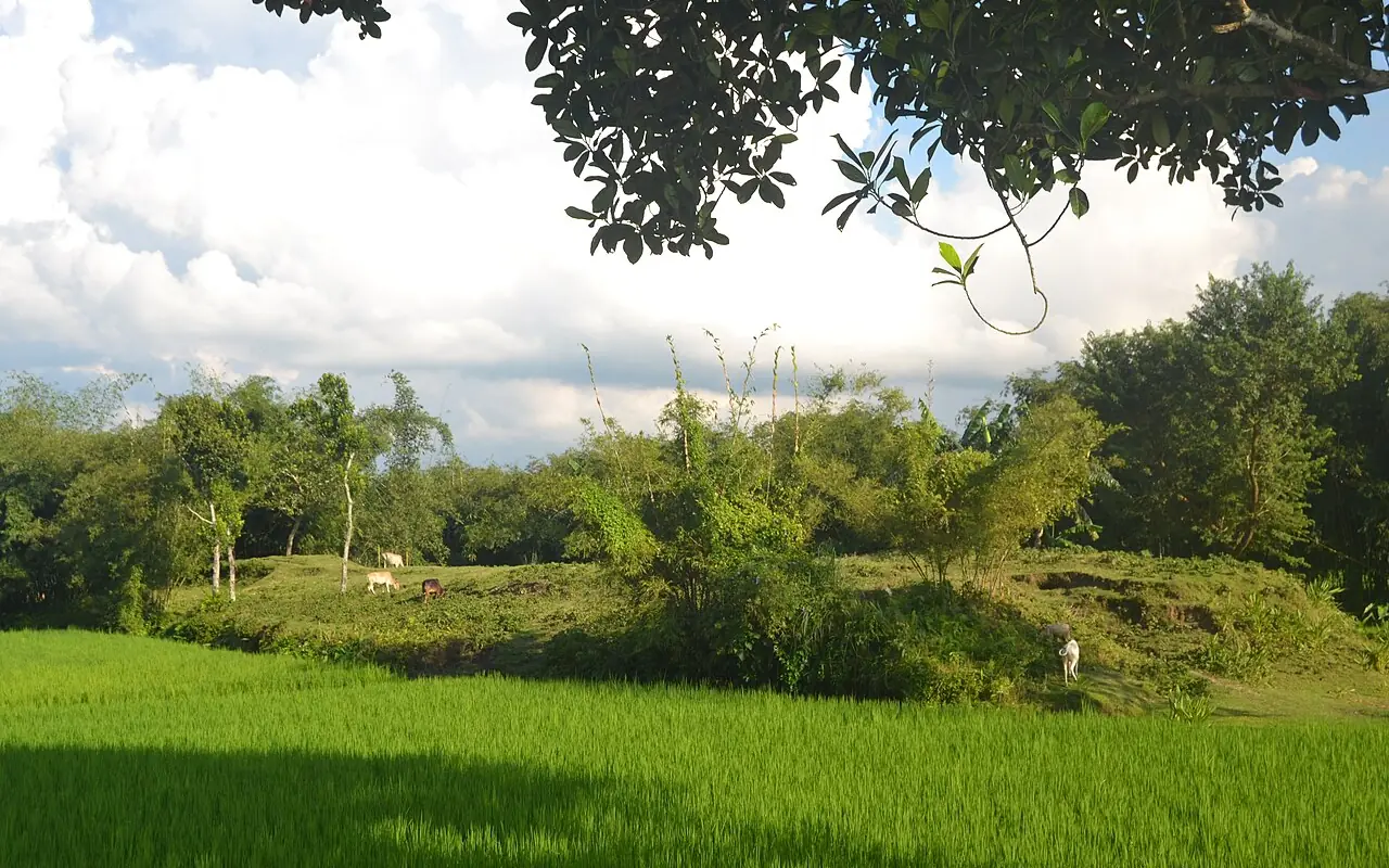 Dharmapaler Garh, Nilphamari