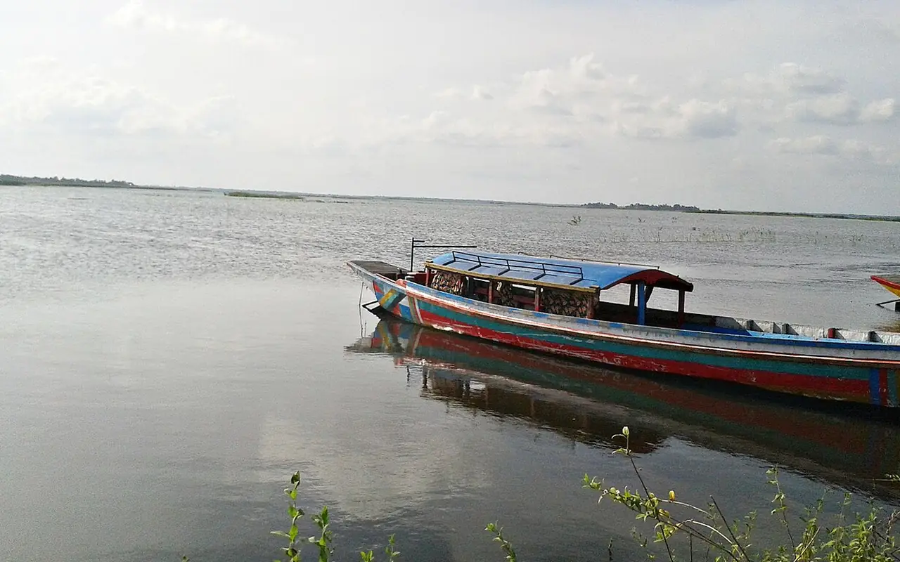 হালতি বিল, নাটোর