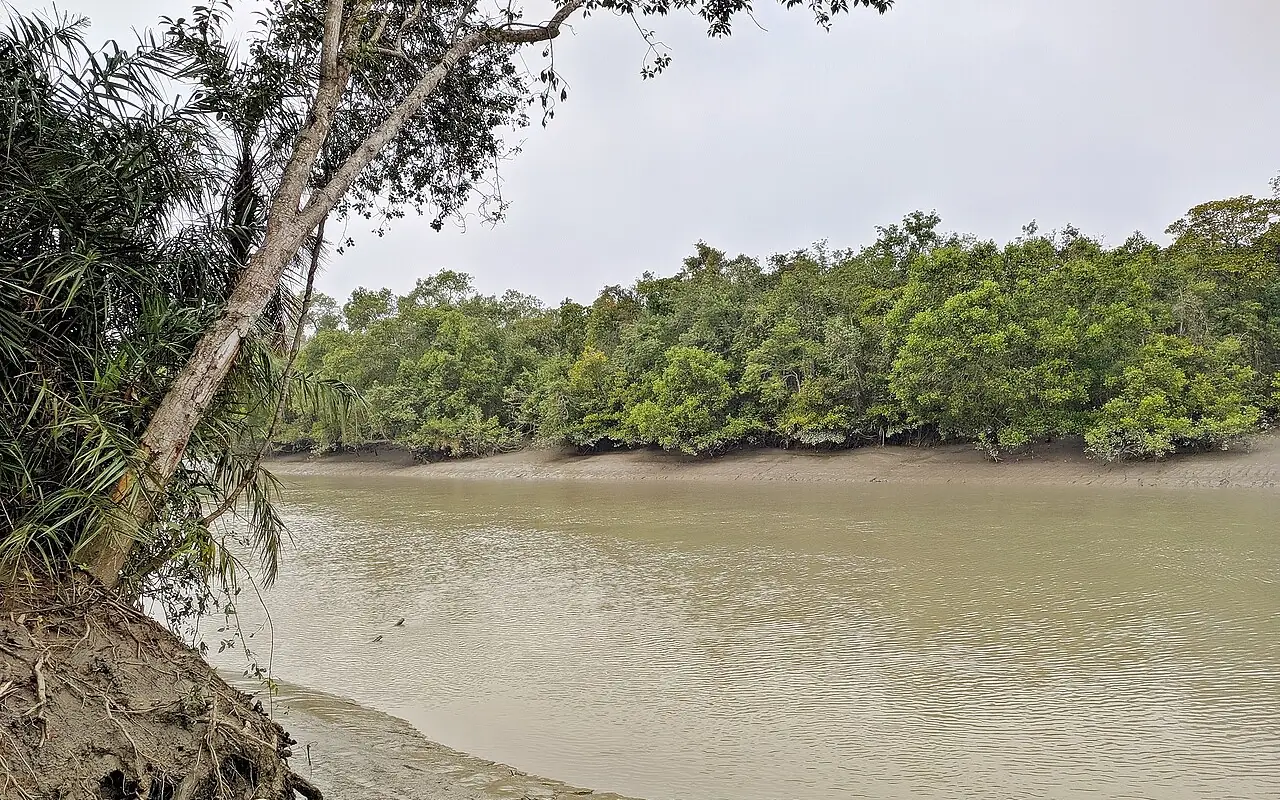 করমজল, সুন্দরবন, খুলনা