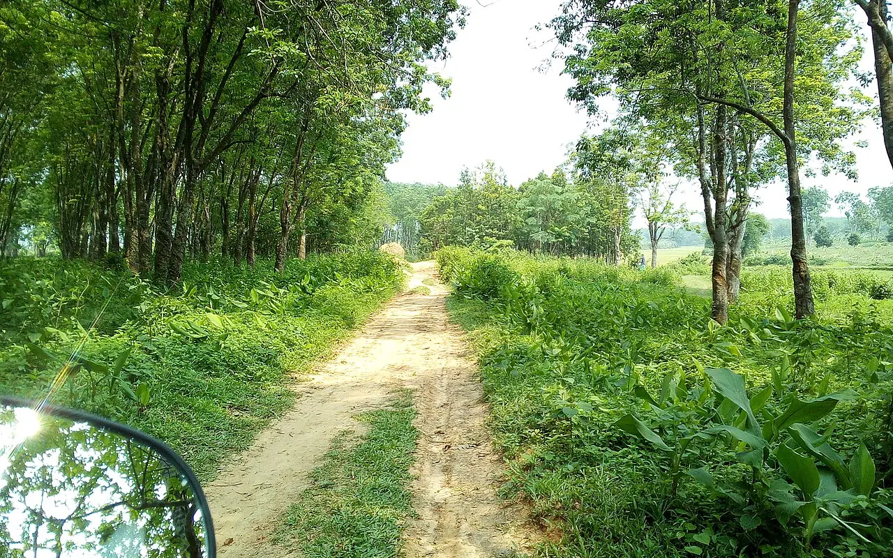 মধুপুর জাতীয় উদ্যান, টাঙ্গাইল
