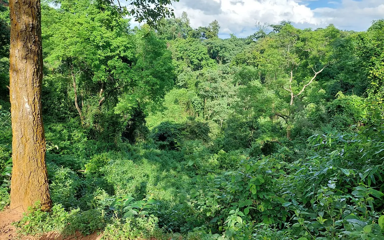 মধুটিলা ইকোপার্ক, শেরপুর