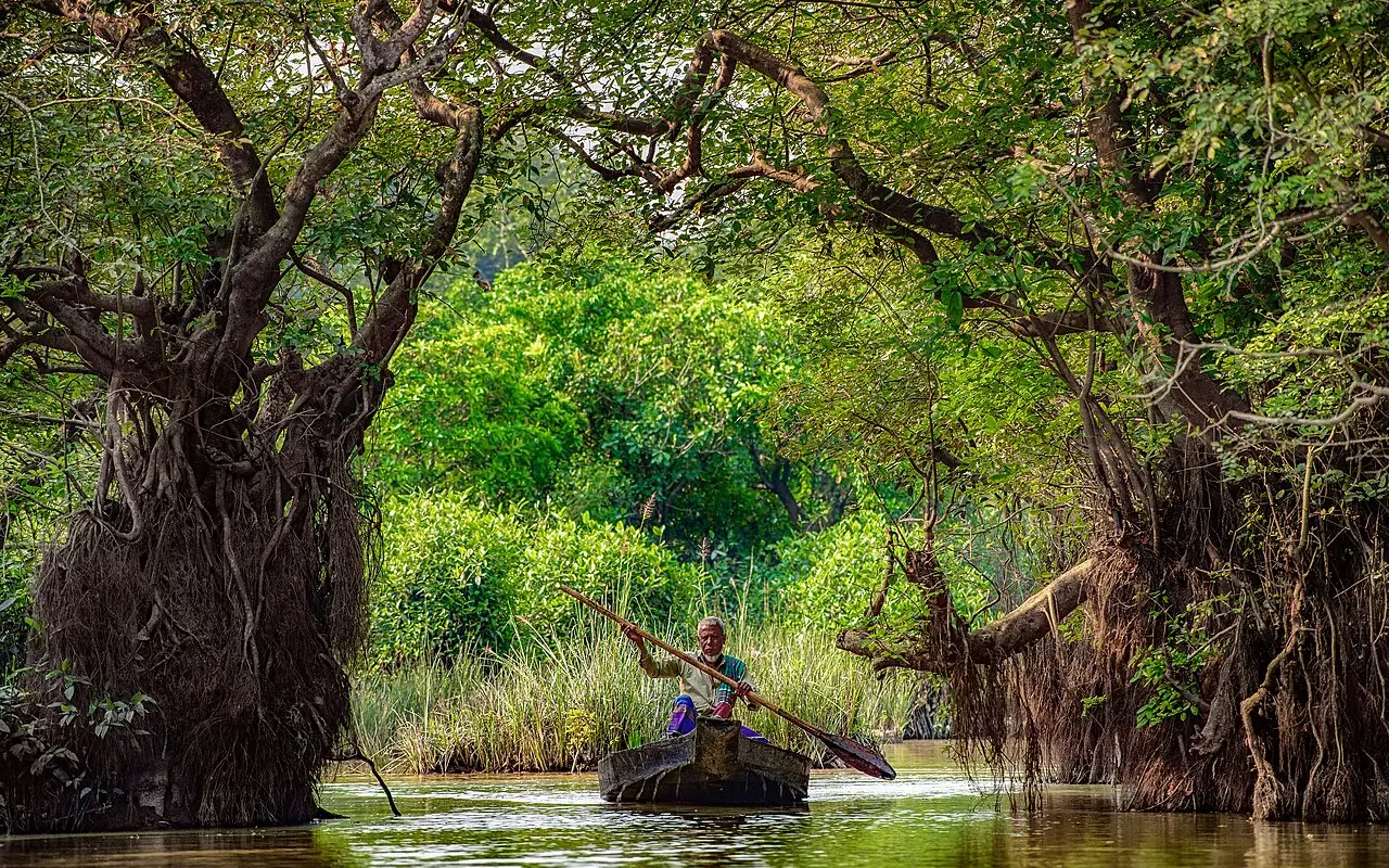 রাতারগুল জলাবন, সিলেট
