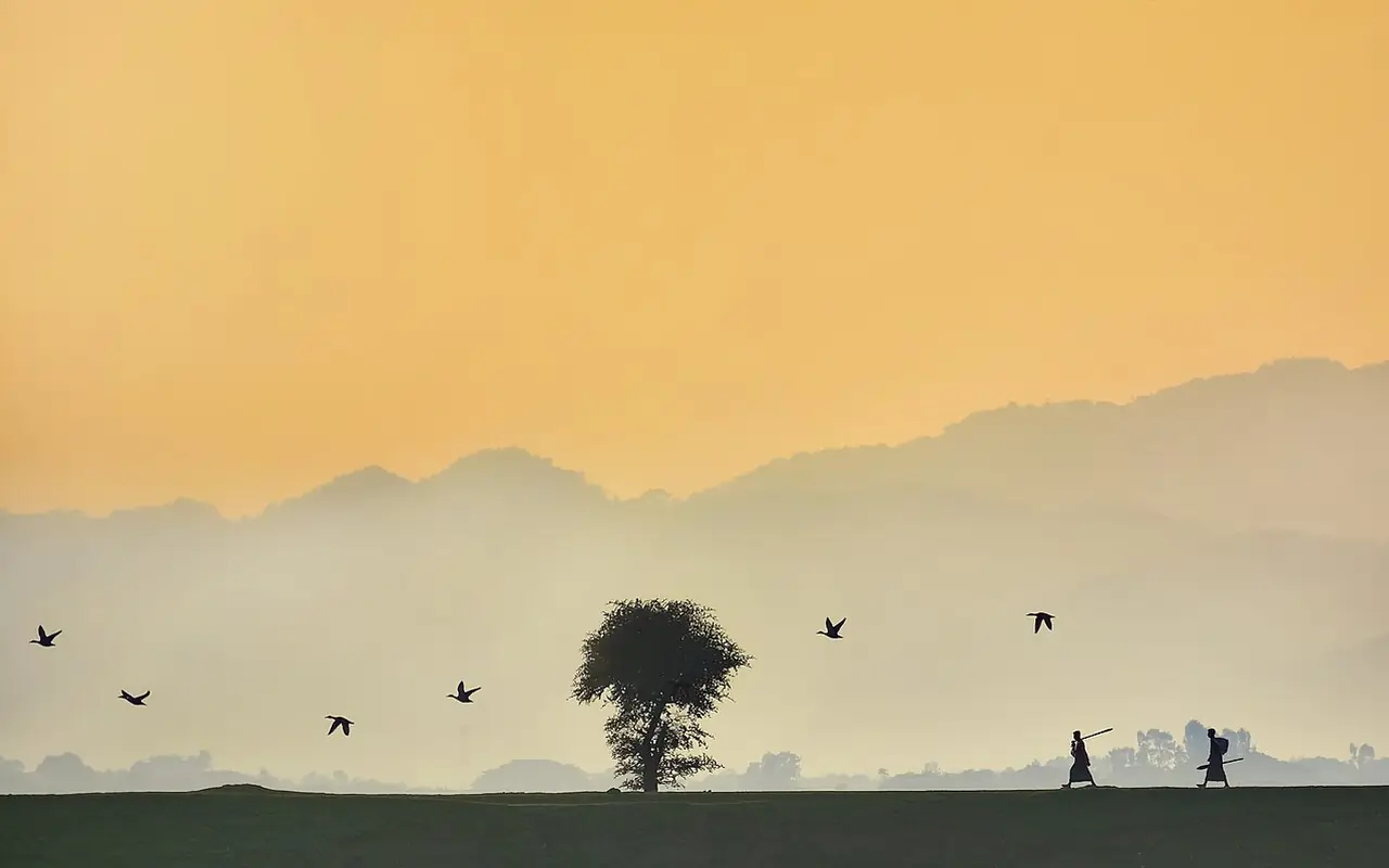 টাঙ্গুয়ার হাওর, সুনামগঞ্জ