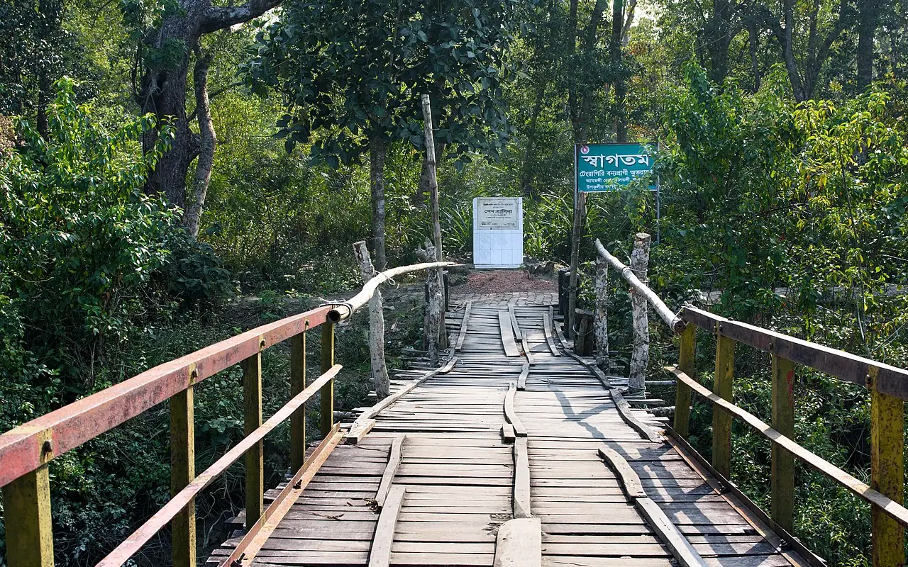 টেংরাগিরি বন (ফাতরার বন), বরগুনা
