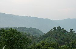 নালিতাবাড়ী — শেরপুর