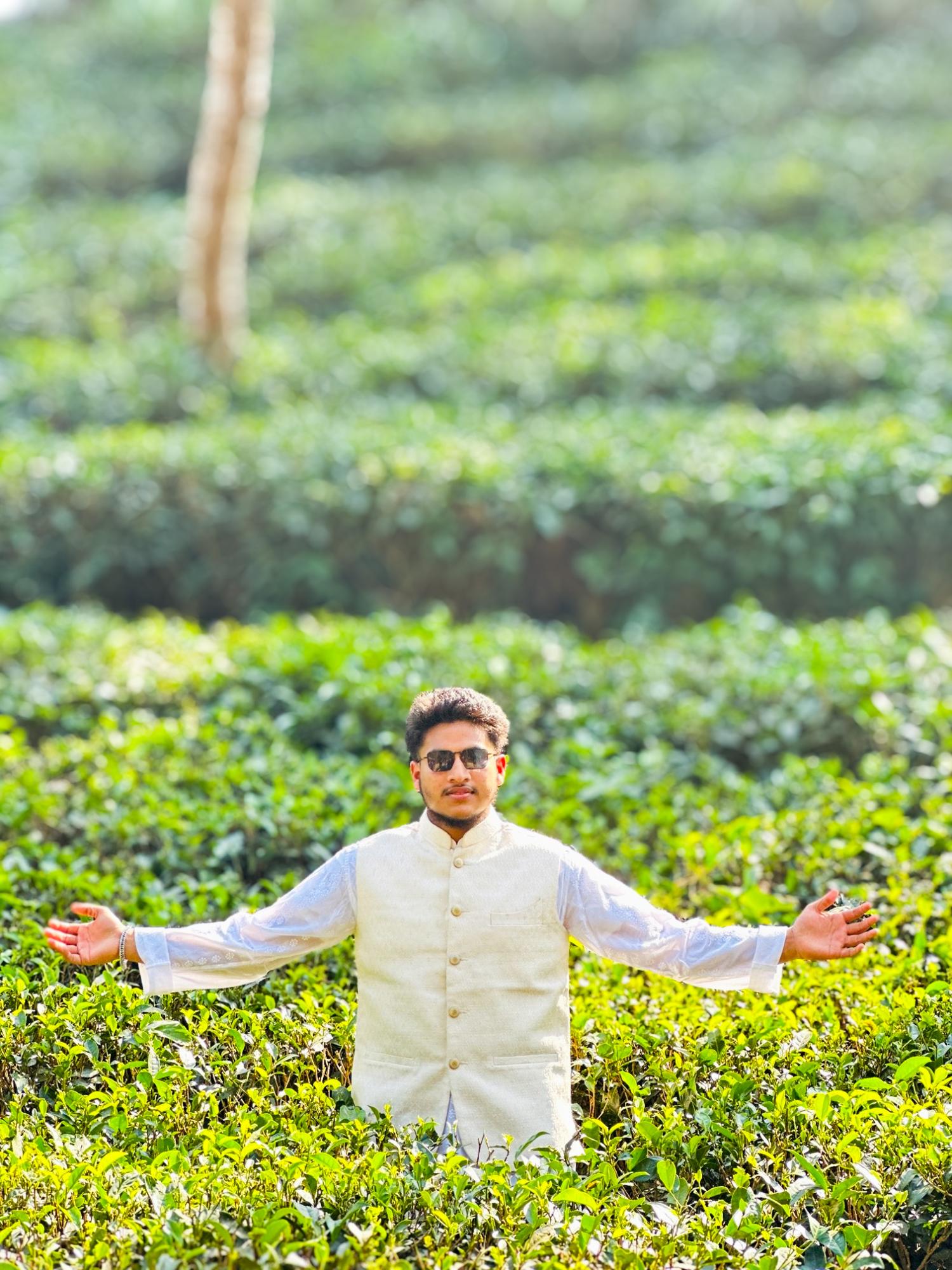 Sreemangal — হবিগঞ্জ