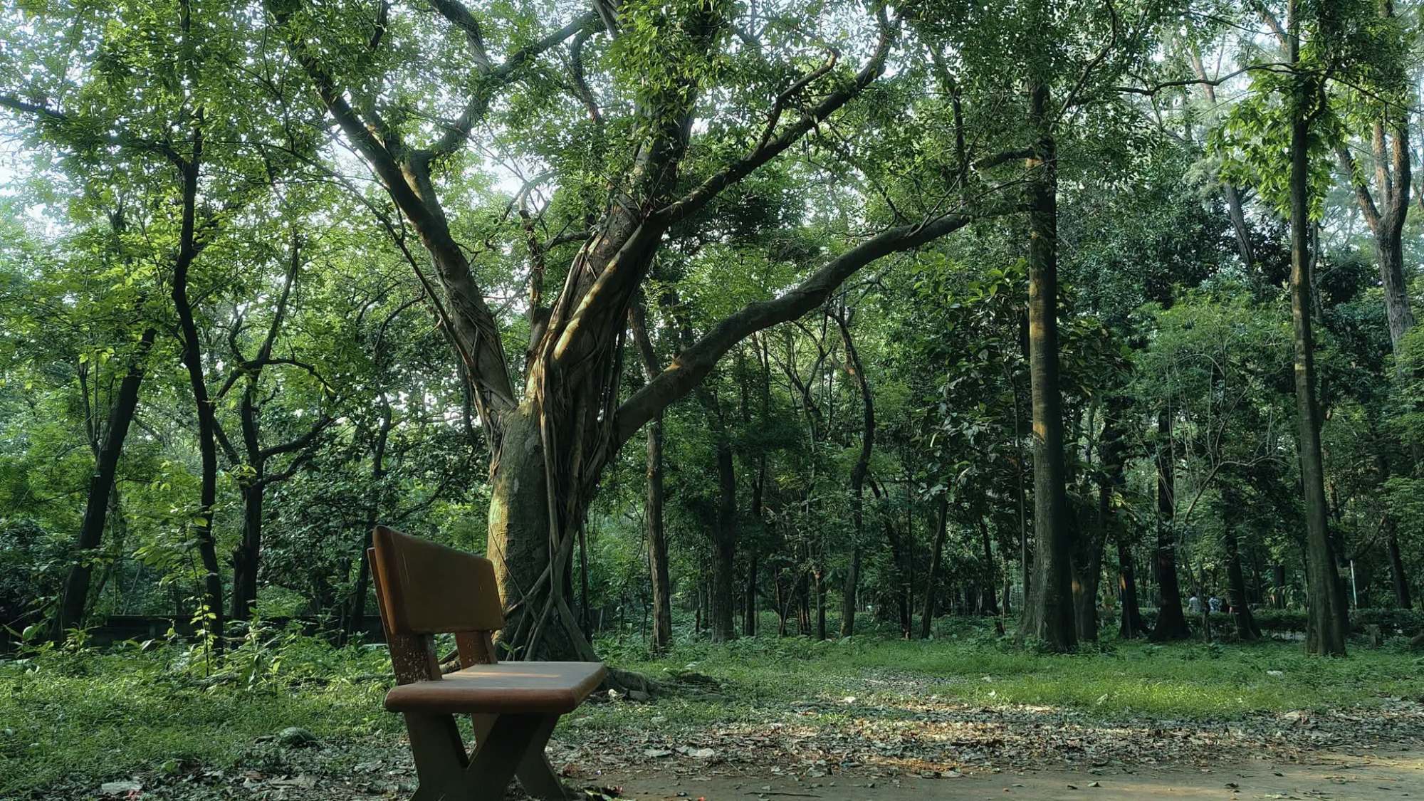 Mirpur Botanical Garden... — ঢাকা