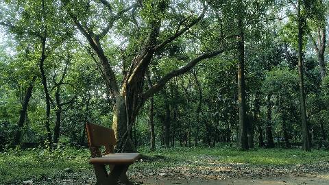 Mirpur Botanical Garden... — Dhaka