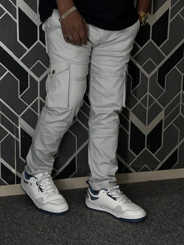IMG_6139 Exclusive Casual Twill Cargo Pant (Silver Color) (AC-601)